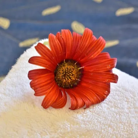 Σπίτι διακοπών Evdokia's House