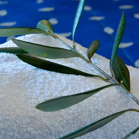 Evdokia's House Σπίτι διακοπών *